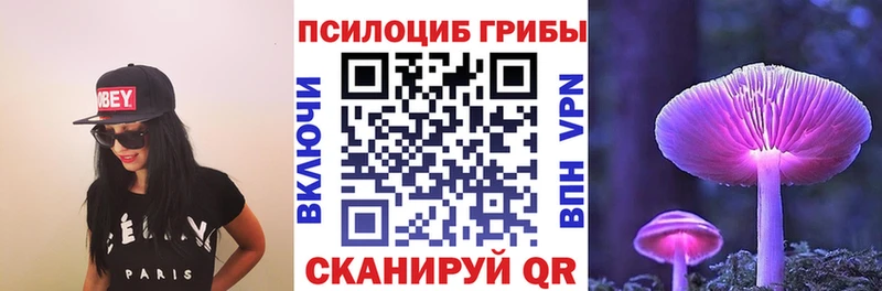 Купить где  Михайлов  Галлюциногенные грибы MAGIC MUSHROOMS 