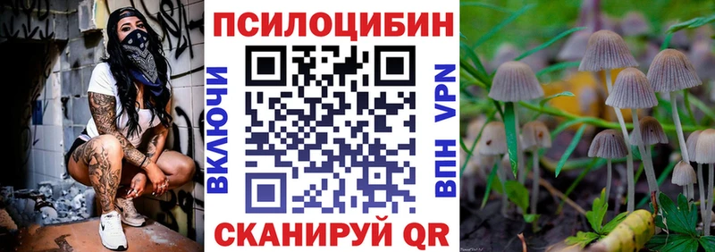 Псилоцибиновые грибы Cubensis Михайлов